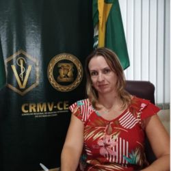 CRMV-CE 2464-VP