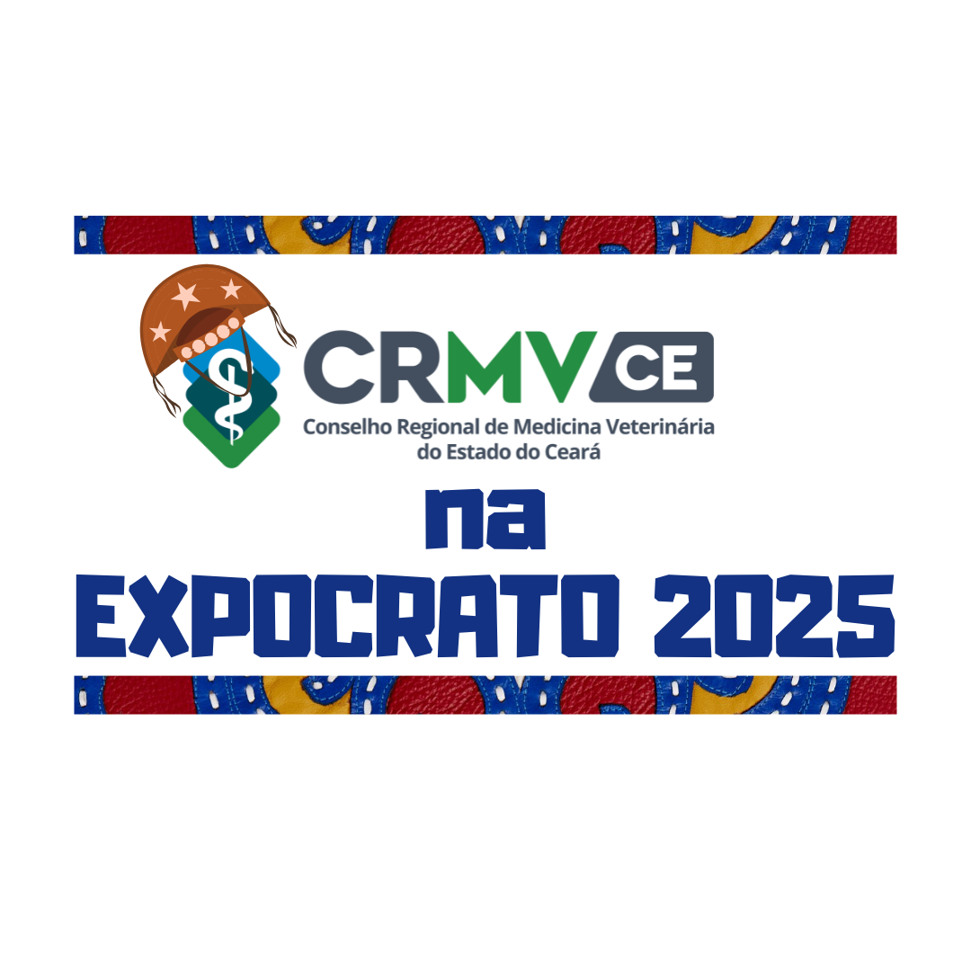 Design sem nome 2