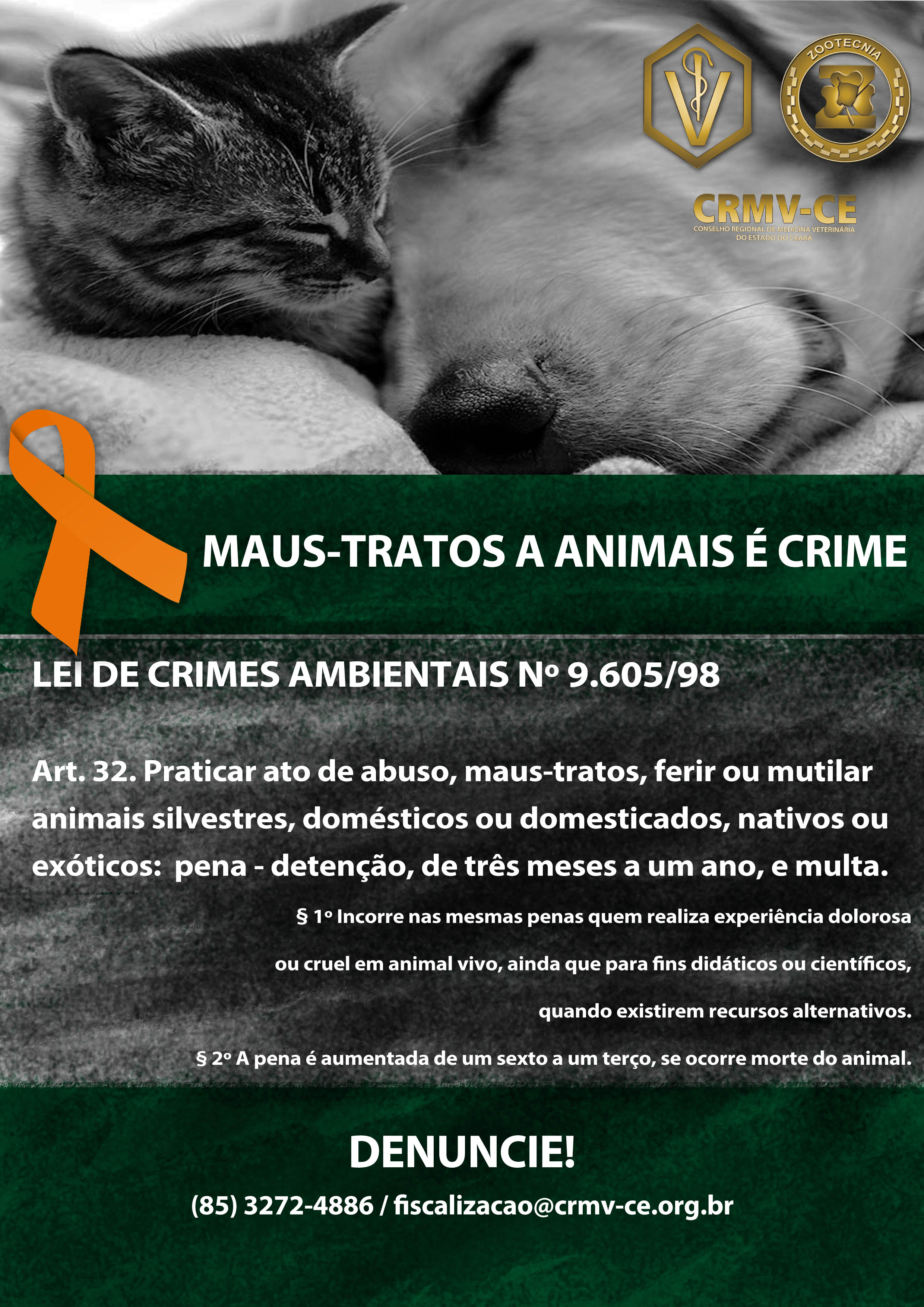 PDF) Meio ambiente e tutela penal nos maus-tratos contra animais
