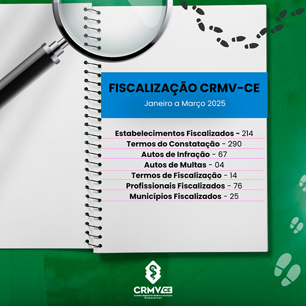 fiscalização