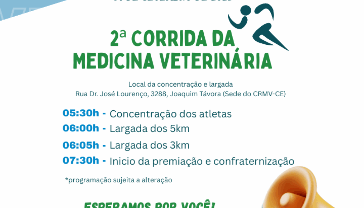 Programação