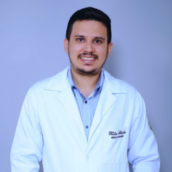 CRMV-CE nº 03651.VP