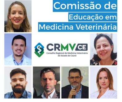 Nova medida Site (4)