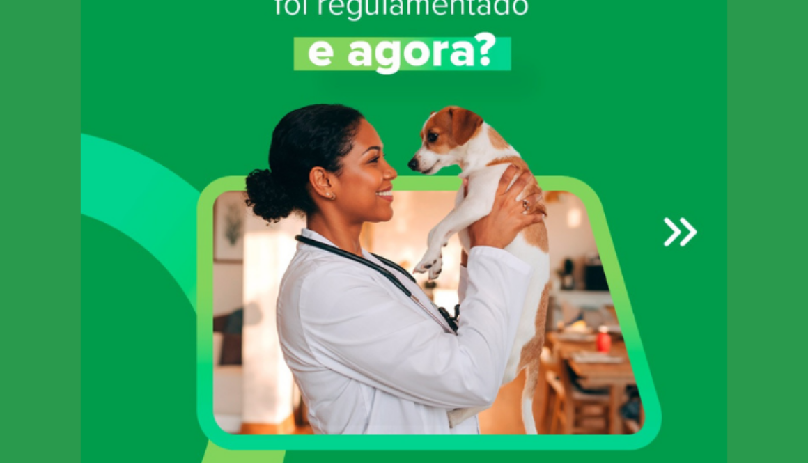 Nova medida Site (7)