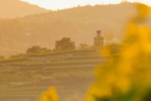 contact-intro-img contact-intro-img