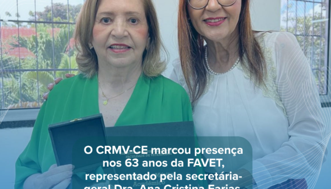 Inserir um subtítulo (4)