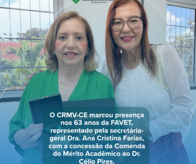 Inserir um subtítulo (4)