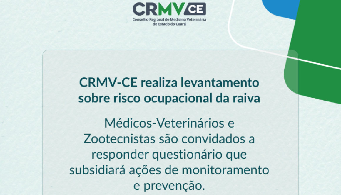 Nova medida Site (12)