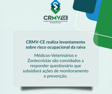Nova medida Site (12)