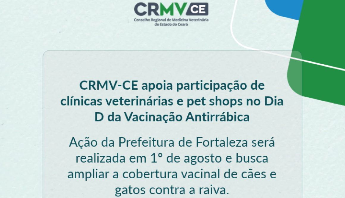 Nova medida Site (30)