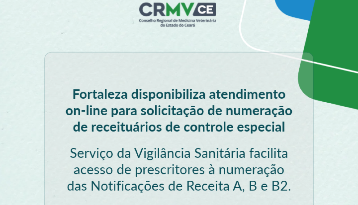Nova medida Site (31)