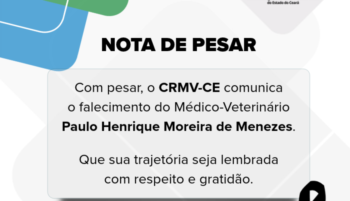 Nova medida Site (32)